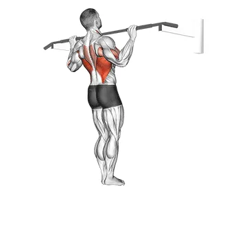 Animated demonstration: wide grip pull-up — target lats