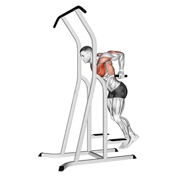 Animated demonstration: chest dip (on dip-pull-up cage) — target pectorals