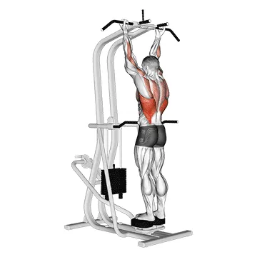 Animated demonstration: assisted standing chin-up — target lats