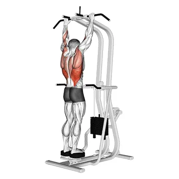 Animated demonstration: assisted standing pull-up — target lats