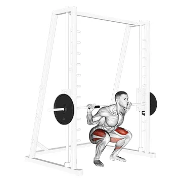 Animated demonstration: smith low bar squat — target glutes