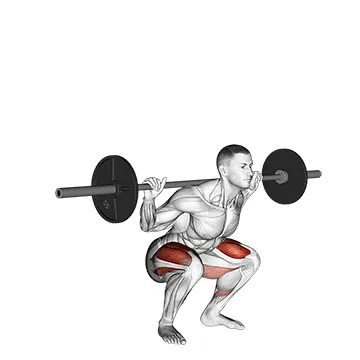Animated demonstration: barbell low bar squat — target glutes