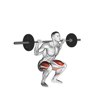 Animated demonstration: barbell high bar squat — target glutes