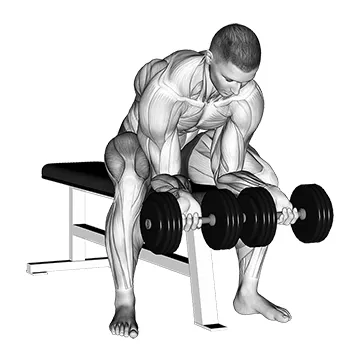 Animated demonstration: dumbbell finger curls — target forearms