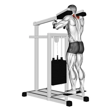 Animated demonstration: lever gripless shrug v. 2 — target traps