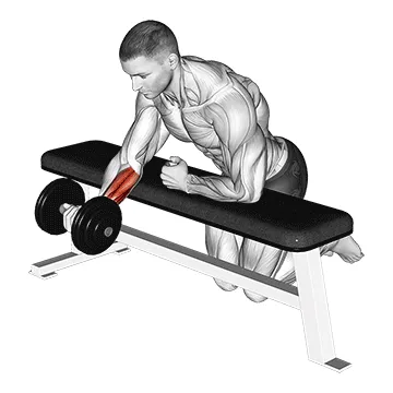 Animated demonstration: dumbbell over bench one arm reverse wrist curl — target forearms