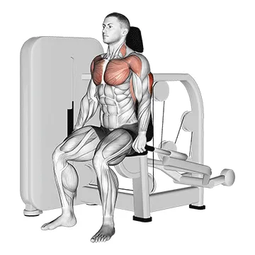 Animated demonstration: lever seated dip — target triceps
