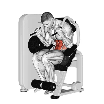 Animated demonstration: lever seated crunch — target abs