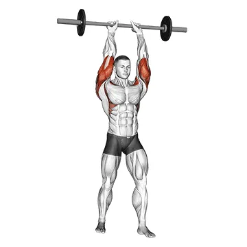 Animated demonstration: barbell standing close grip military press — target delts
