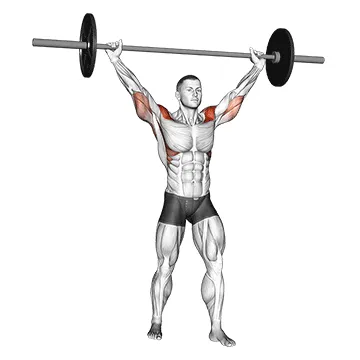Animated demonstration: barbell standing wide military press — target delts