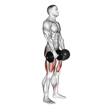 Animated demonstration: dumbbell romanian deadlift — target glutes