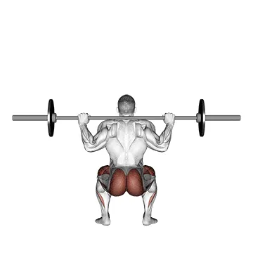 Animated demonstration: barbell full squat (back pov) — target glutes