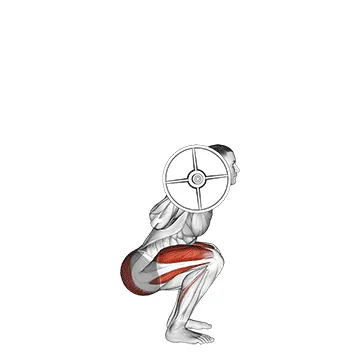 Animated demonstration: barbell full squat (side pov) — target glutes