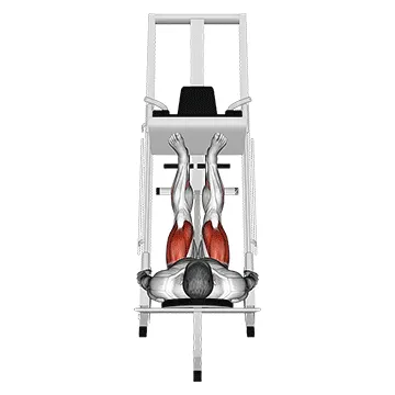 Animated demonstration: sled 45в° leg press (back pov) — target glutes