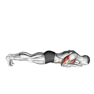 Animated demonstration: push-up on lower arms — target triceps
