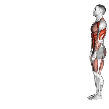 Animated demonstration: inchworm — target abs