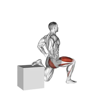 Animated demonstration: one leg squat — target glutes