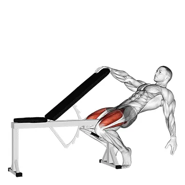 Animated demonstration: sissy squat — target quads
