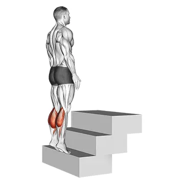 Animated demonstration: standing calf raise (on a staircase) — target calves