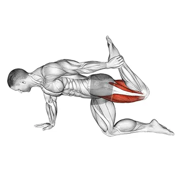 Animated demonstration: all fours squad stretch — target quads