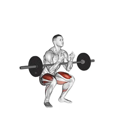 Animated demonstration: barbell full zercher squat — target glutes