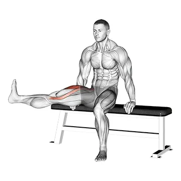 Animated demonstration: chair leg extended stretch — target quads