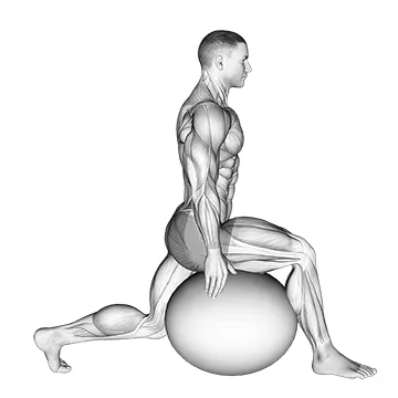 Animated demonstration: exercise ball hip flexor stretch — target glutes