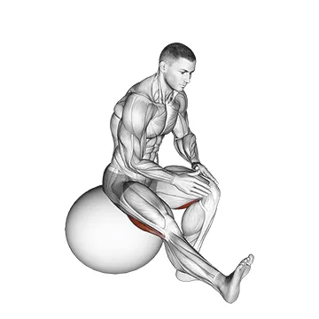 Animated demonstration: exercise ball seated hamstring stretch — target hamstrings