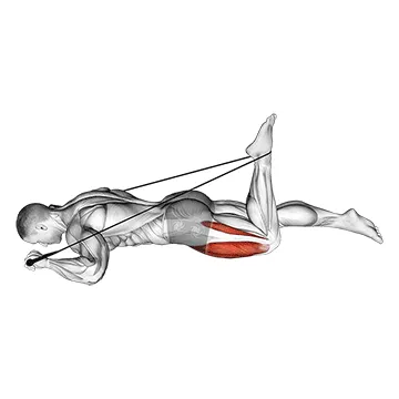 Animated demonstration: intermediate hip flexor and quad stretch — target quads