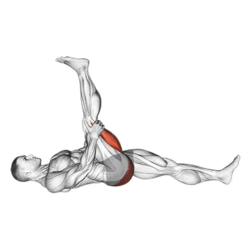 Animated demonstration: leg up hamstring stretch — target hamstrings