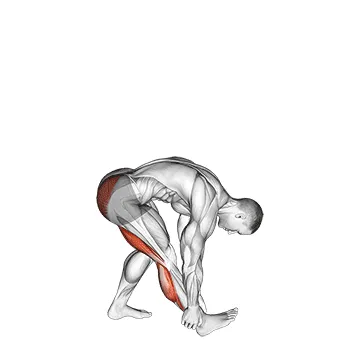 Animated demonstration: runners stretch — target hamstrings