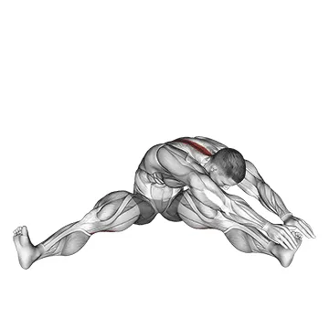 Animated demonstration: seated wide angle pose sequence — target hamstrings