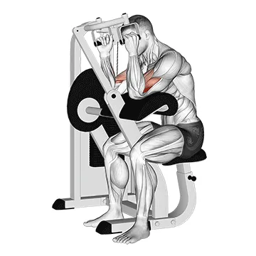 Animated demonstration: lever hammer grip preacher curl — target biceps