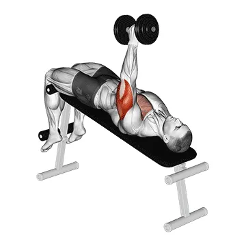 Animated demonstration: dumbbell decline one arm hammer press — target triceps
