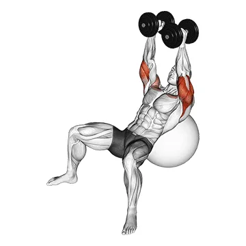 Animated demonstration: dumbbell incline hammer press on exercise ball — target triceps