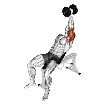 Animated demonstration: dumbbell incline one arm hammer press — target triceps