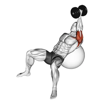 Animated demonstration: dumbbell incline one arm hammer press on exercise ball — target triceps