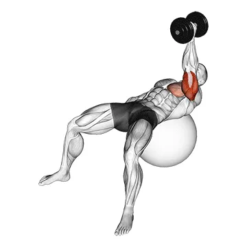 Animated demonstration: dumbbell one arm hammer press on exercise ball — target triceps