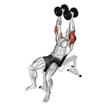 Animated demonstration: dumbbell palms in incline bench press — target triceps