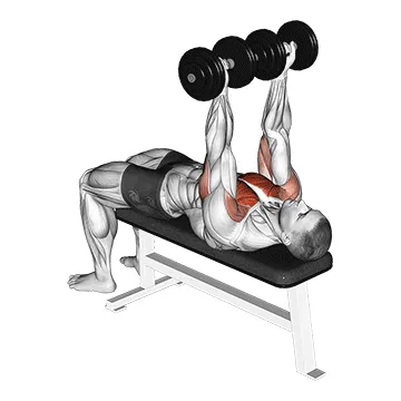 Animated demonstration: dumbbell reverse bench press — target pectorals