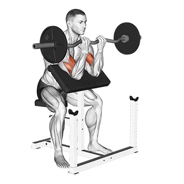 Animated demonstration: ez barbell close grip preacher curl — target biceps