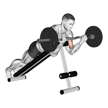 Animated demonstration: ez barbell spider curl — target biceps