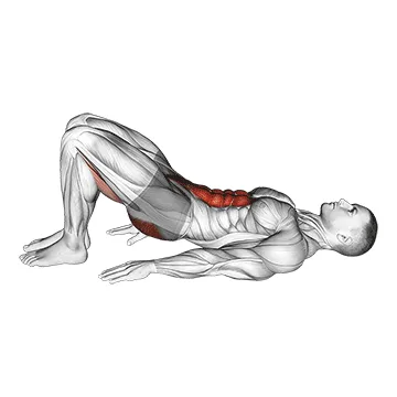 Animated demonstration: pelvic tilt — target abs