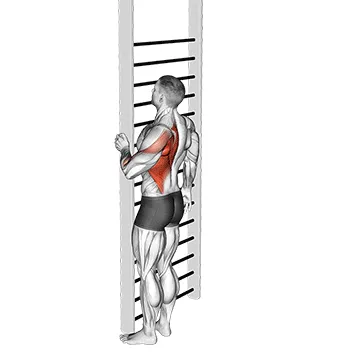 Animated demonstration: bodyweight standing close-grip one arm row — target upper back