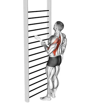 Animated demonstration: bodyweight standing one arm row (with towel) — target upper back