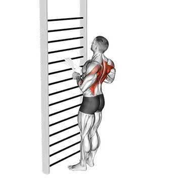 Animated demonstration: bodyweight standing row (with towel) — target upper back