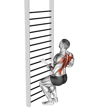 Animated demonstration: bodyweight squatting row (with towel) — target upper back