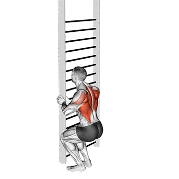 Animated demonstration: bodyweight squatting row — target upper back