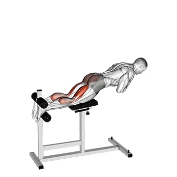 Animated demonstration: glute-ham raise — target hamstrings