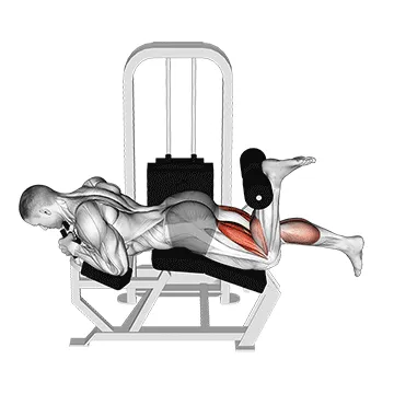Animated demonstration: lever lying two-one leg curl — target hamstrings